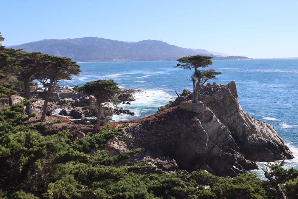 lone cypress - 17-Mile Drive