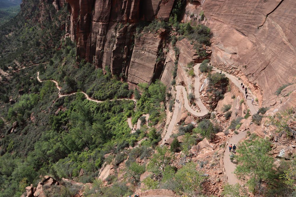 switchbacks on angles landing trail zion national park