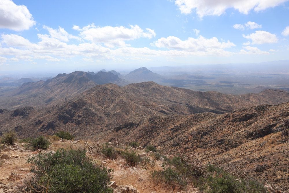 view from wasson peak hike summit - Saguaro National Park - arizona