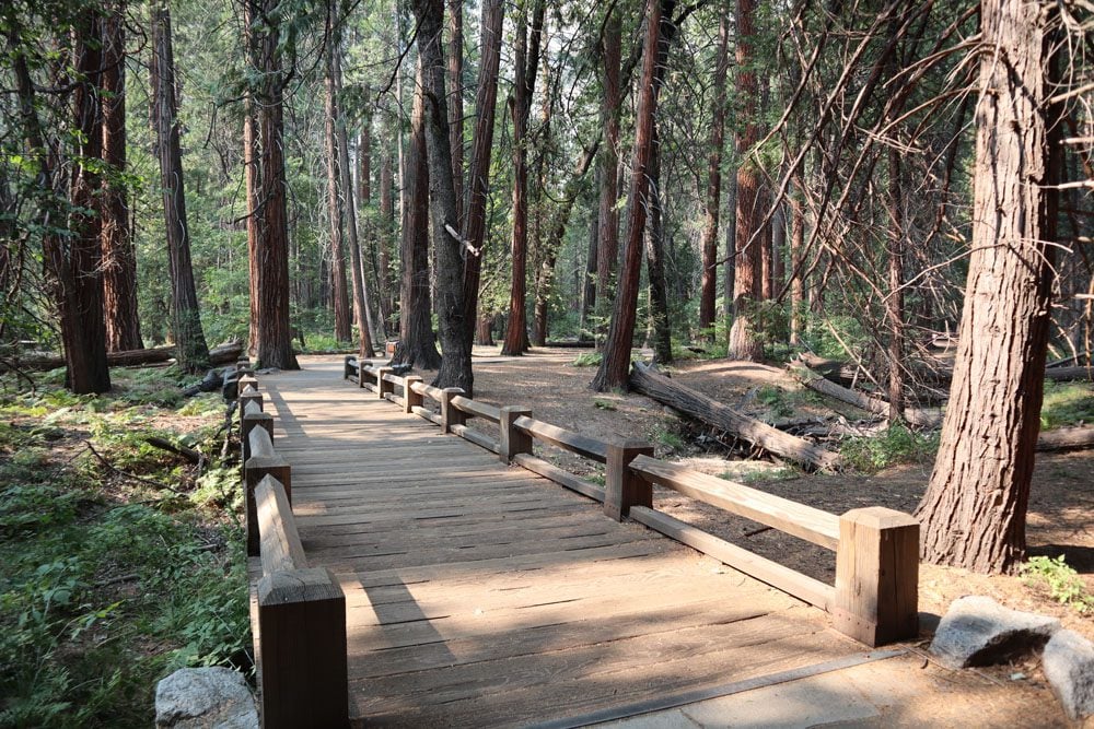 Lower Yosemite Falls trail