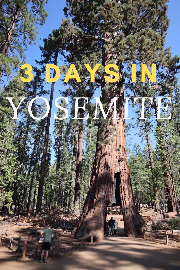 Three Days In Yosemite - Pin