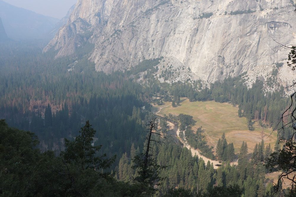 Yosemite Valley Meadows
