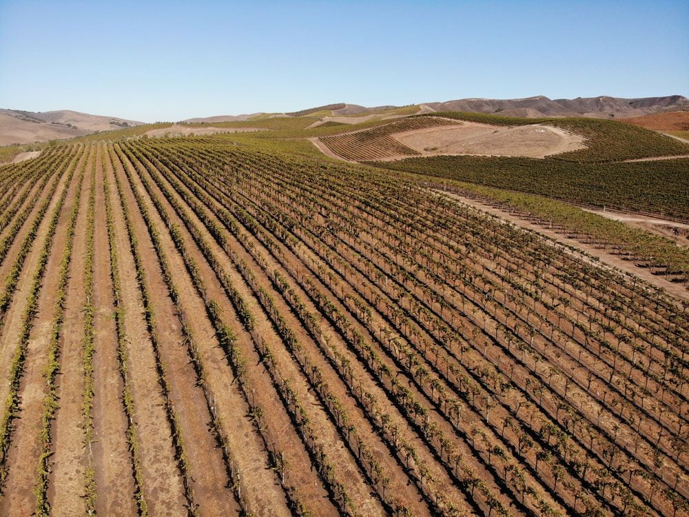 california vineyards near solvang pacific coast highway