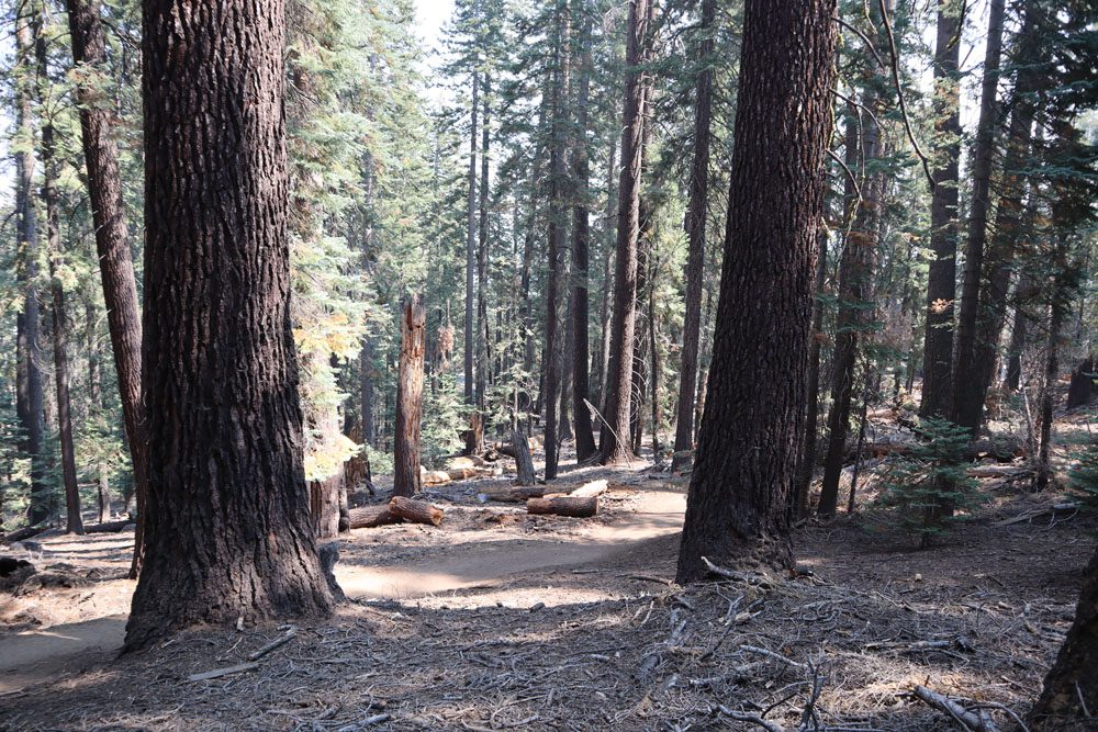 glacier point to sentinel dome Yosemite hike