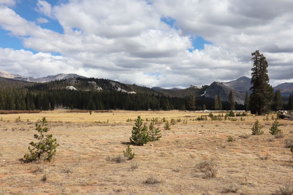 high sierra landscape on tioga road Yosemite