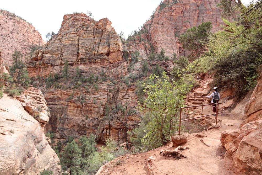 Canyon Overlook Trail - zion national park hike