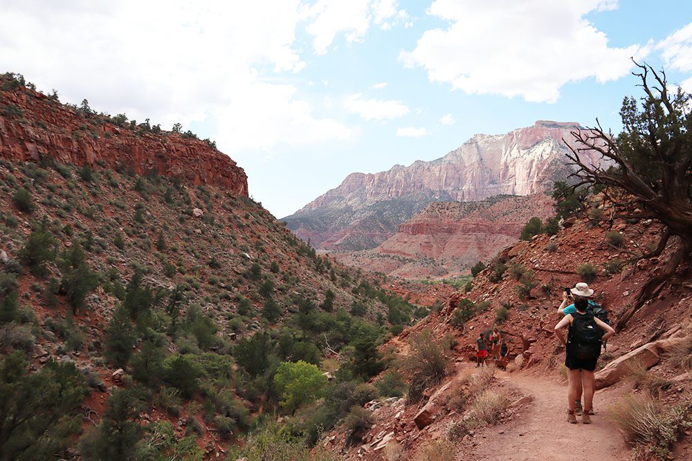 Hikers on the Watchman Trail - Zion national park hikes