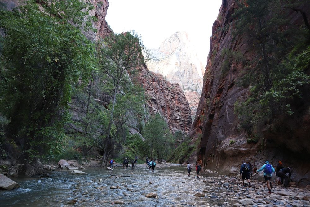 Hiking the narrows in zion national park