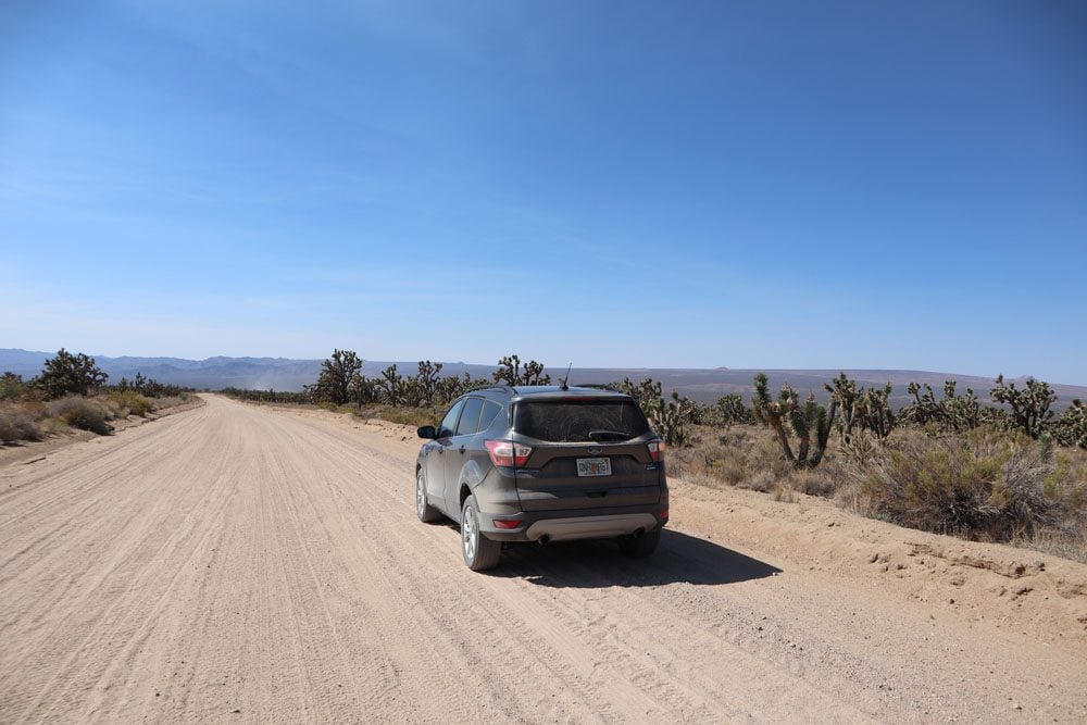 Joshue tree forest in mojave national preserve