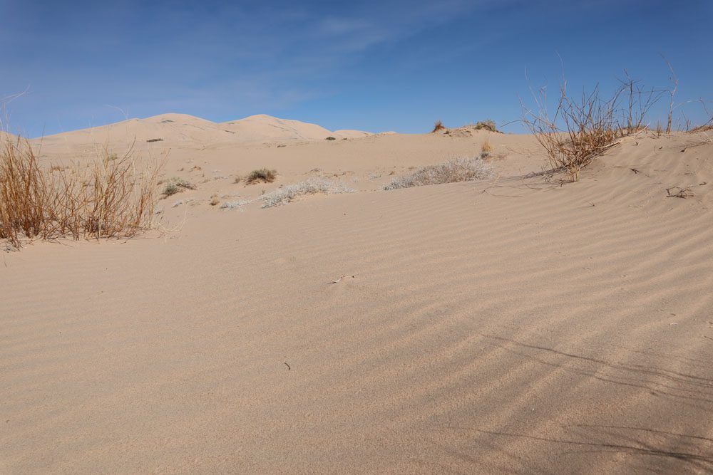 Kelso Dunes - mojave national preserve