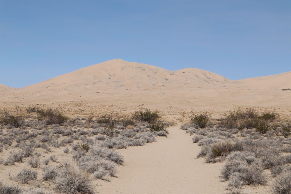 Kelso Dunes trail - mojave national preserve
