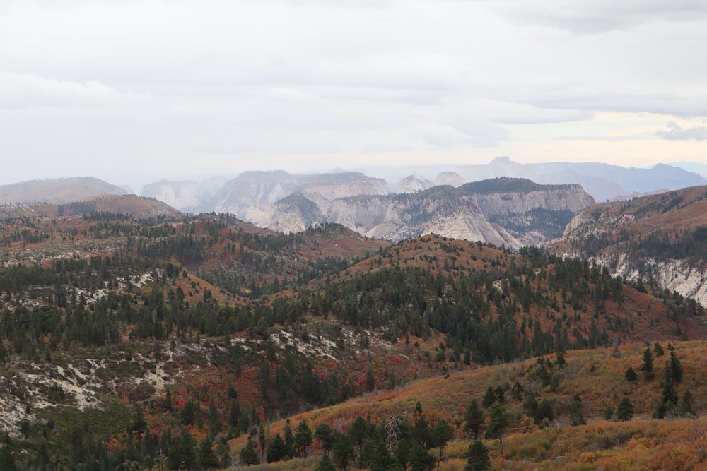 Lava Point - zion national park