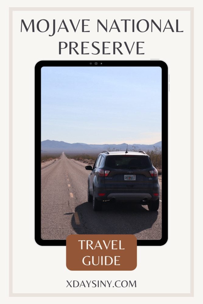 Mojave National Preserve Itinerary - pin