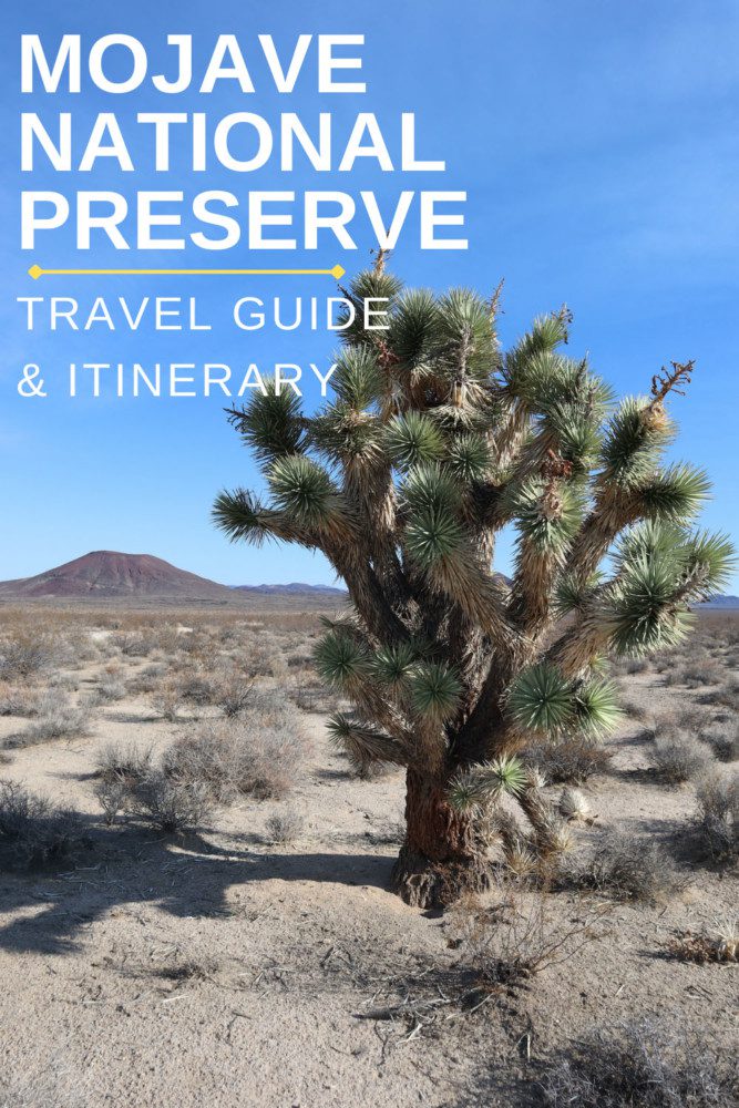 Mojave National Preserve Travel Guide - pin