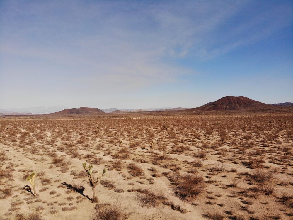 Mojave-National-Preserve-desert-landscape