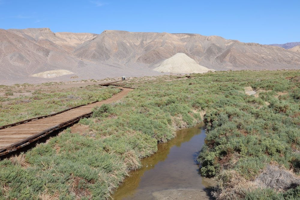 Salt Creek Interpretive Trail Death Valley
