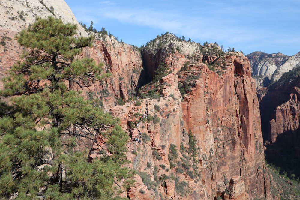 Scout Lookout - Angel's Landing Hike - Zion national park
