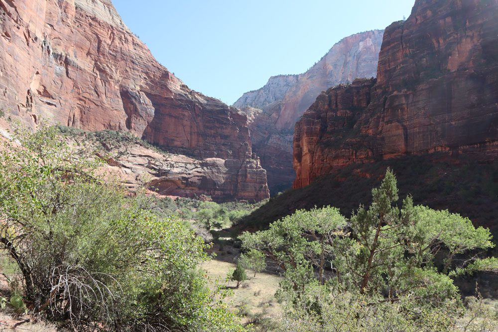 View of weeping rock from Big Bend - zion national park