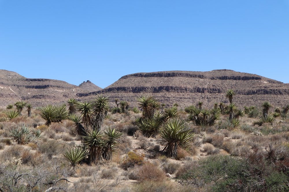 mountain range in mojave national preserve