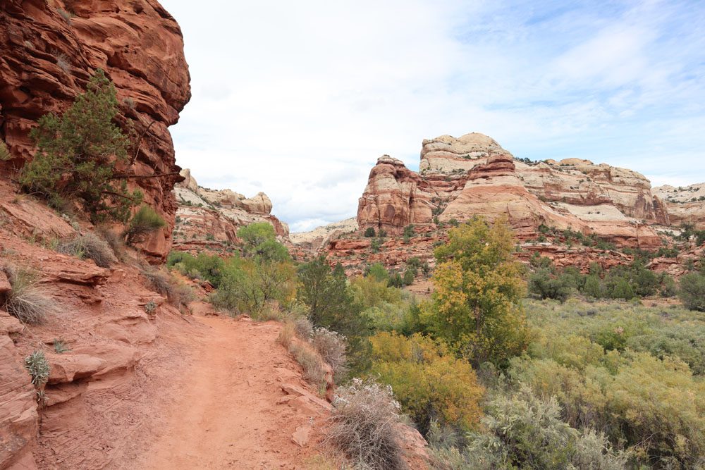 Hike to Lower Calf Creek Falls - Grand Staircase Escalante - Utah