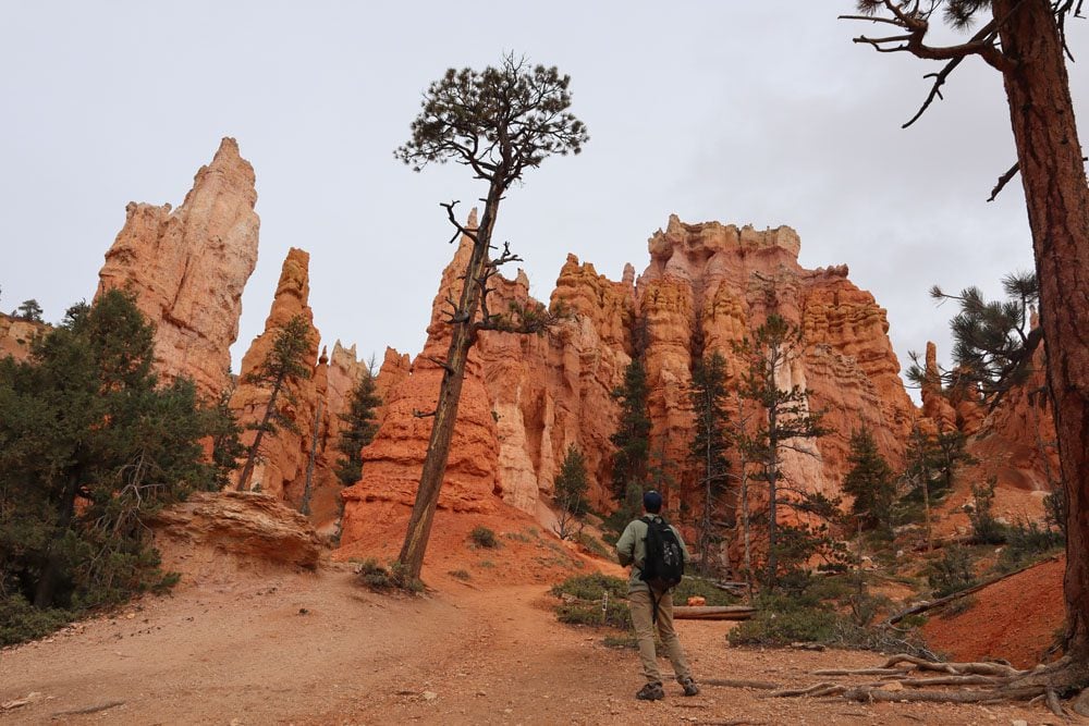 Hiker on the Queen’s Garden Trail Bryce Canyon Hiking