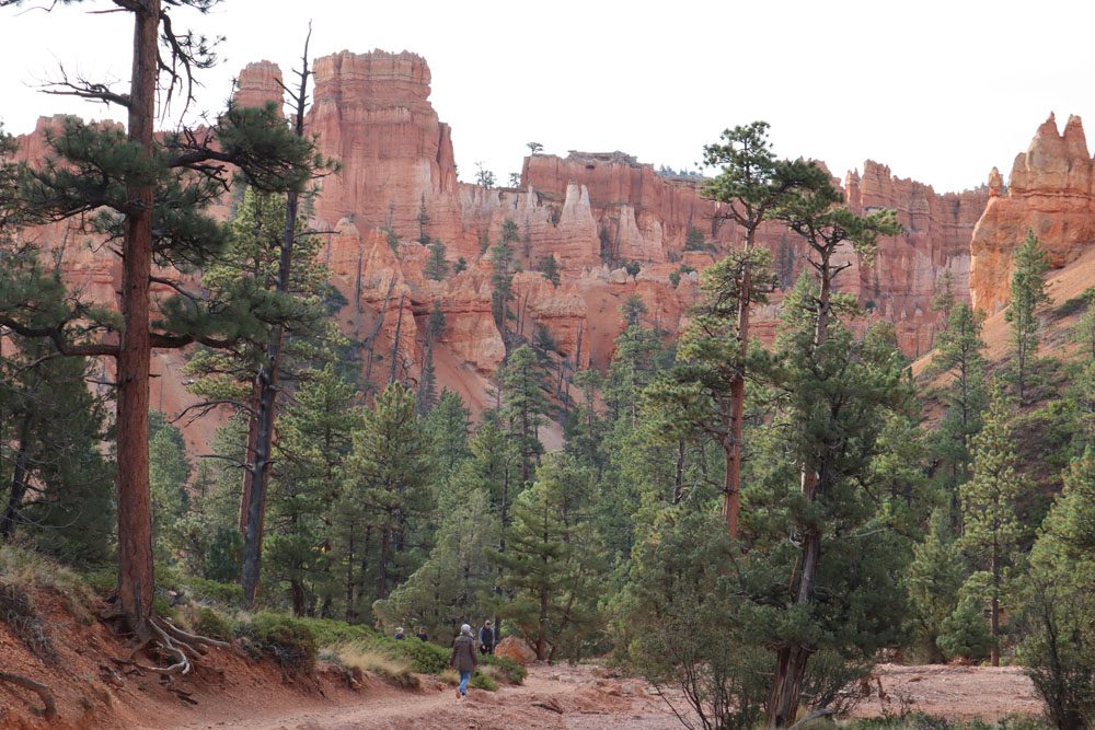 Hiking on the Navajo Loop Trail - Bryce Canyon