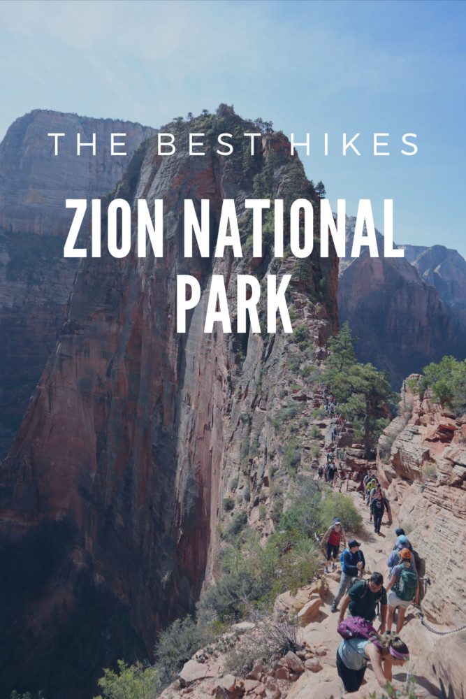 The Best Hikes In Zion National Park - pin