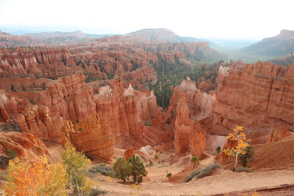 Thors Hammer from Sunset Point Bryce Canyon