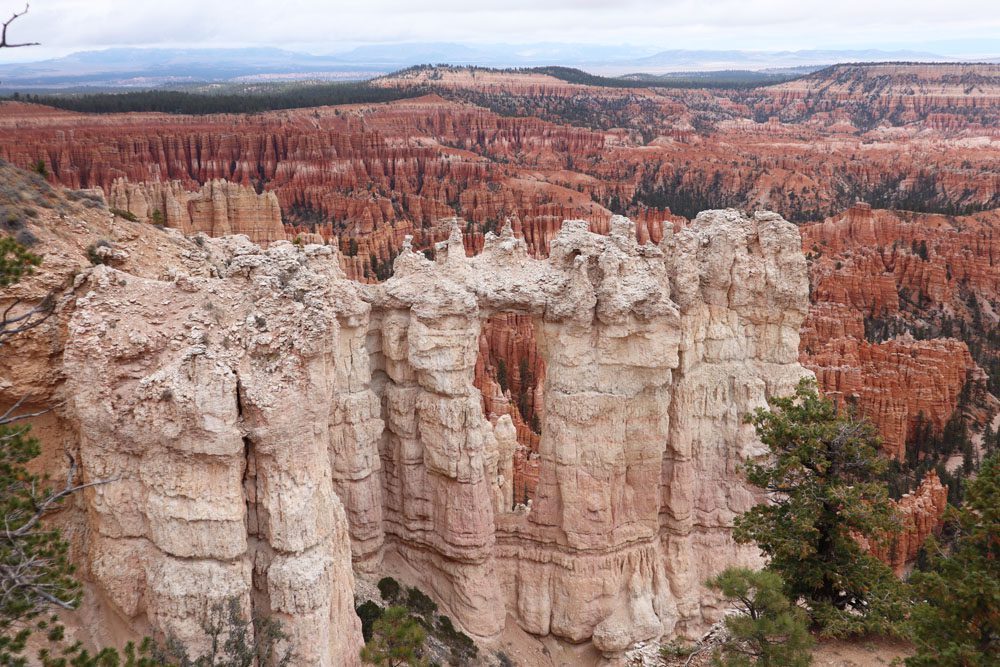 Windows in Bryce Point - Bryce Canyon