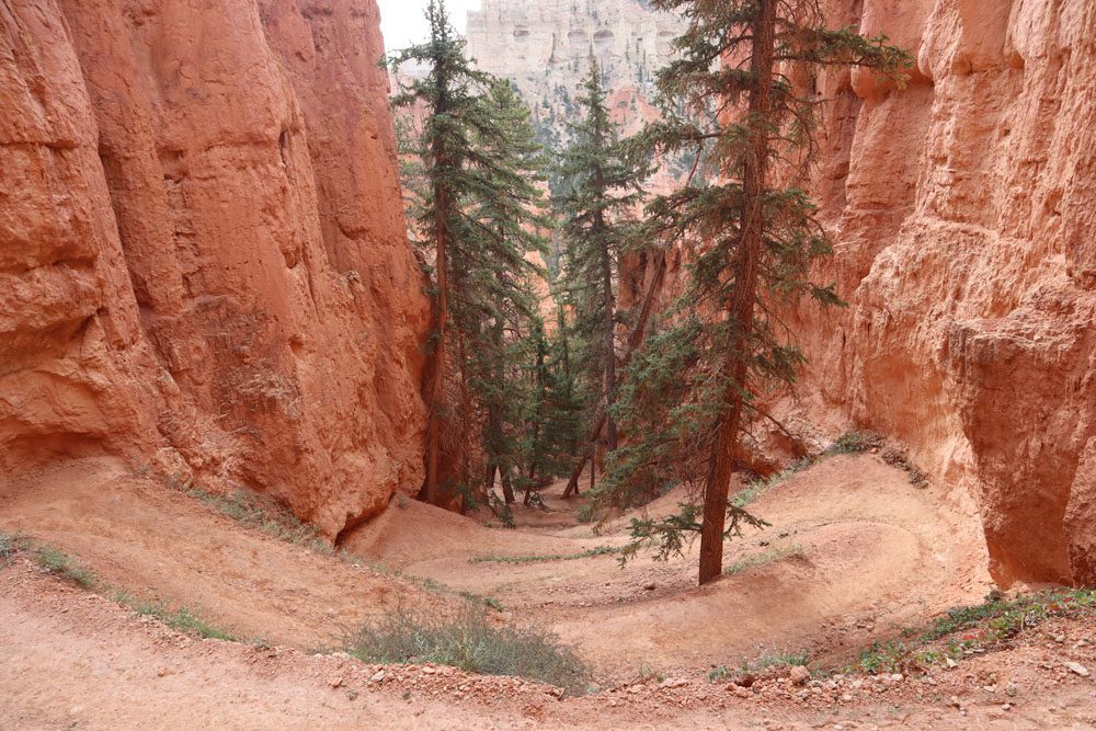 switchbacks on Peekaboo Trail Bryce Canyon