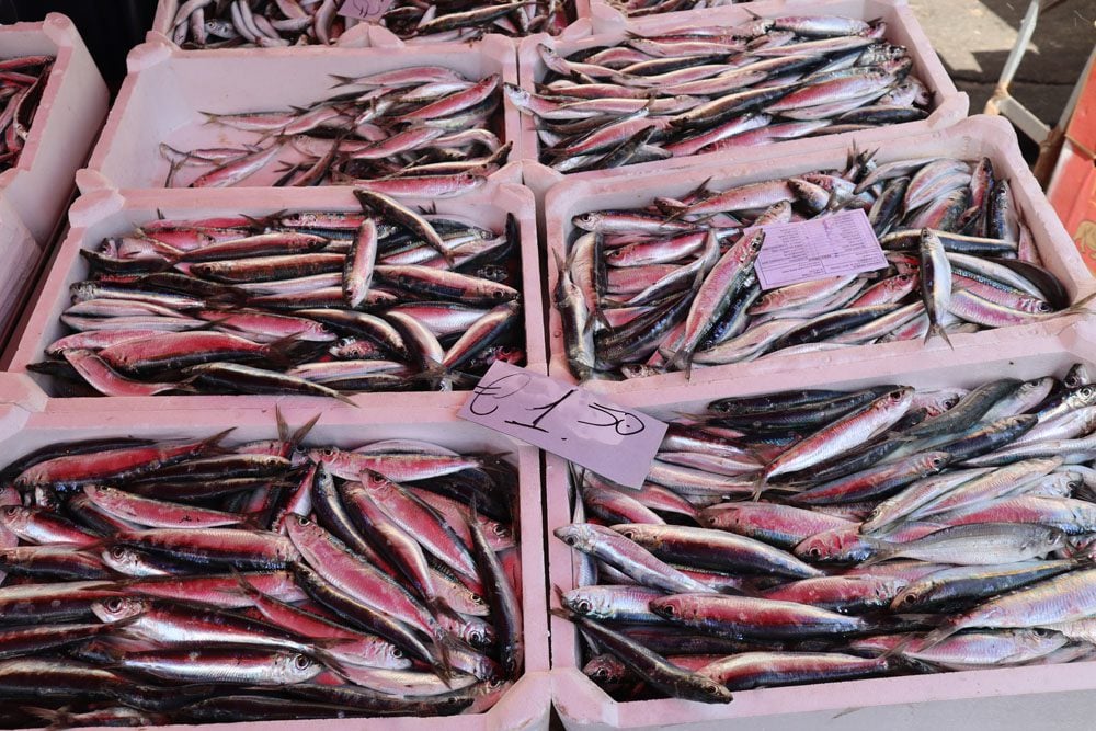 Sardines at Piazza Carlo Alberto di Savoia - Catania Market - Sicily