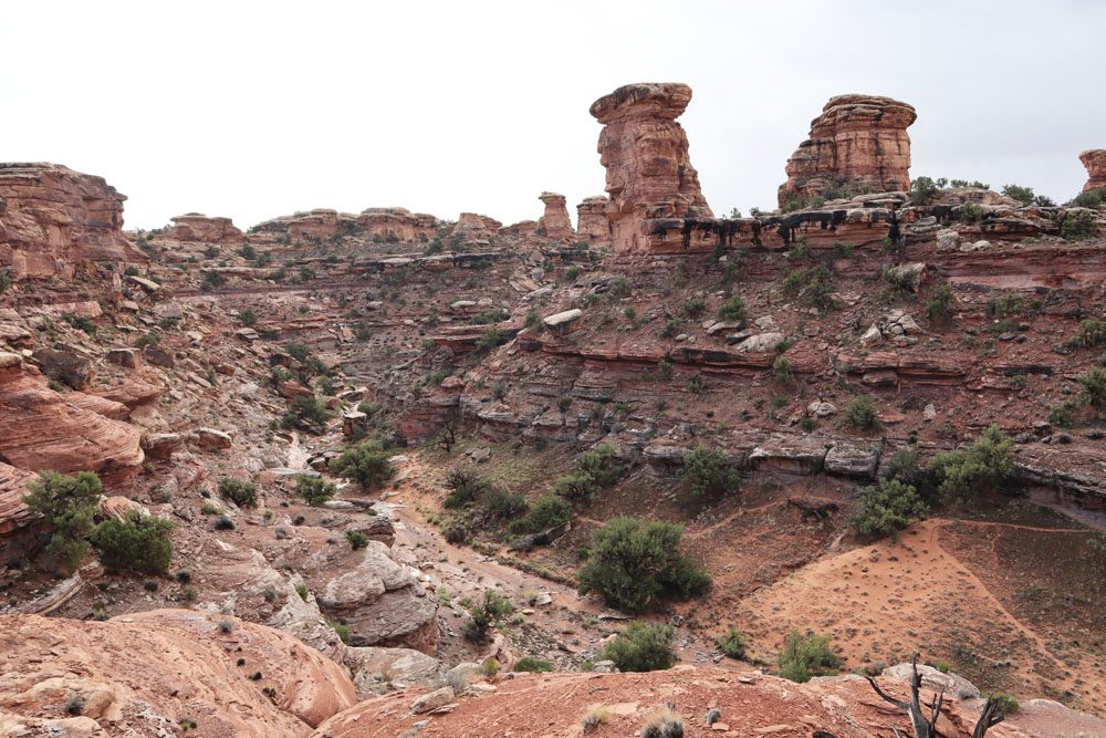 Big Spring Canyon Overlook 2 - The Needles - Canyonlands National Park