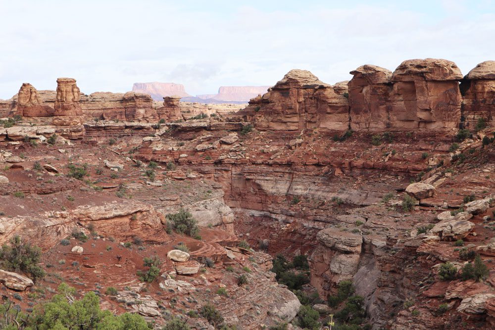 Big Spring Canyon Overlook - The Needles - Canyonlands National Park