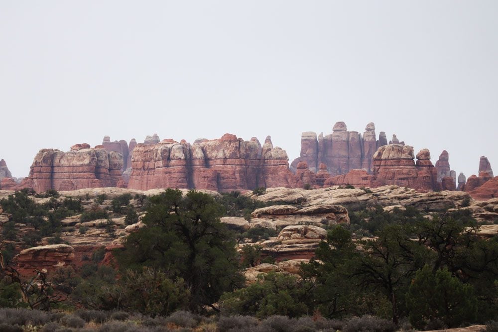 Chesler Park - The Needles - Canyonlands NP