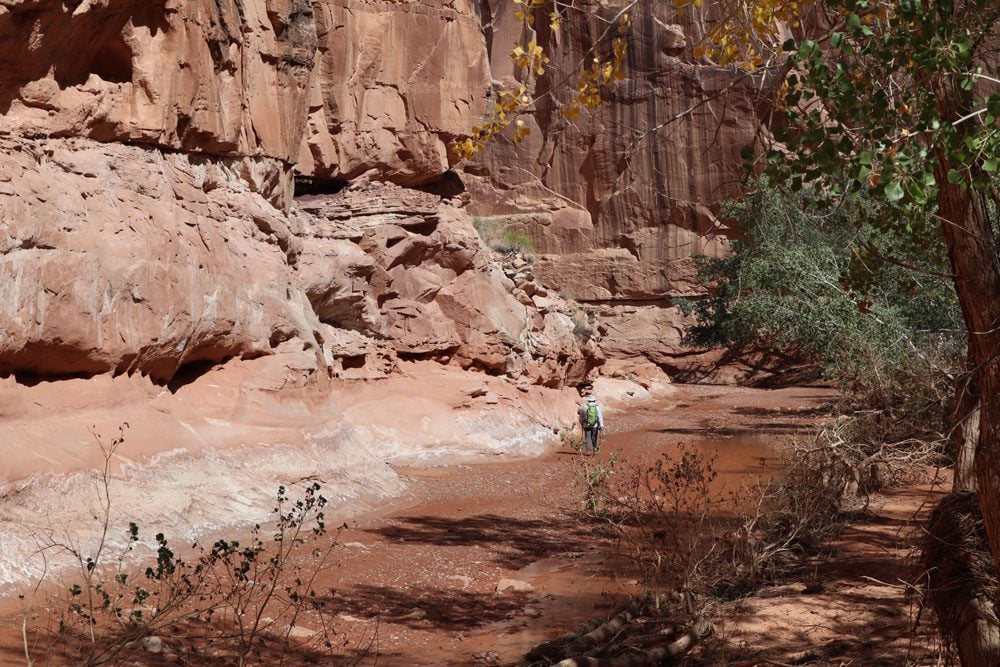 Hiker on the Horseshoe Canyon Trail - Canyonlands National Park - Utah