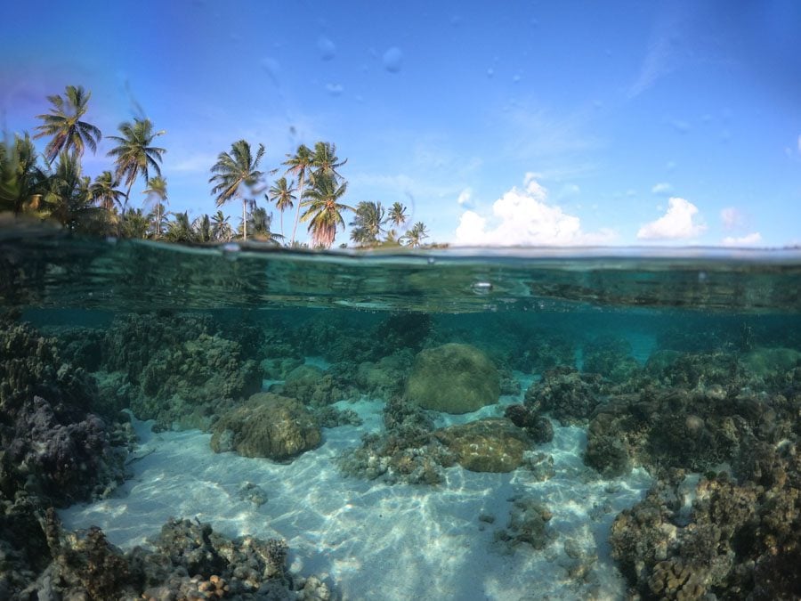 גינת אלמוגים באי Tahaa