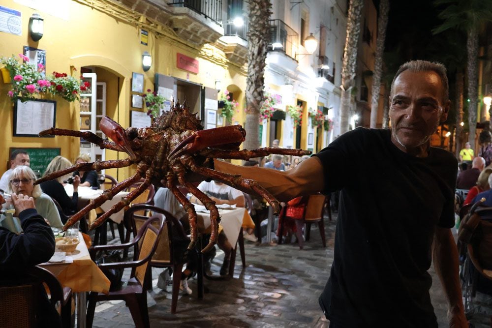 Large crab in Cadiz - Andalusia Southern Spain