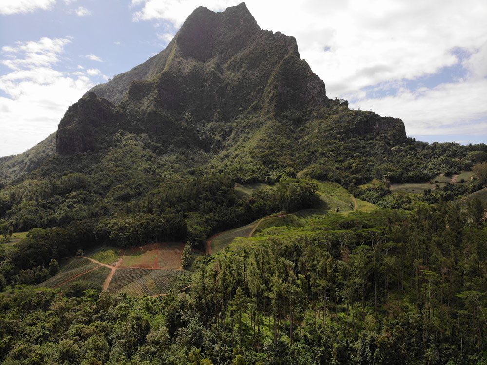 Mount-Rotui-Moorea-French-Polynesia