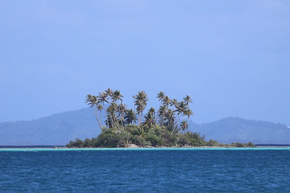 Small islet with coconut palms - Tahaa French Polynesia