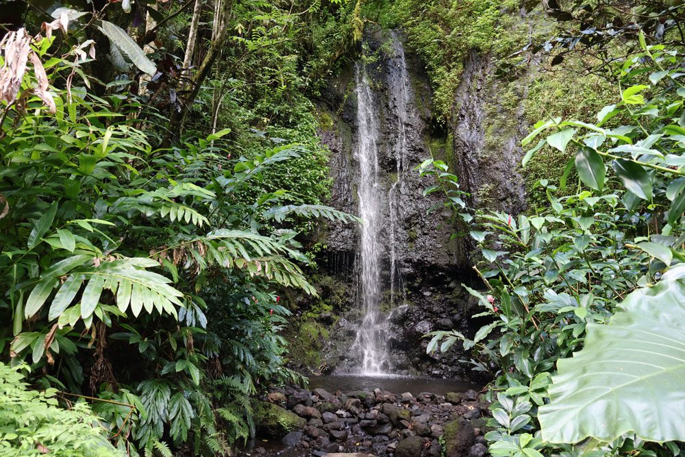 Small waterfall in the Papenoo rainforest - Tahiti - French Polynesia