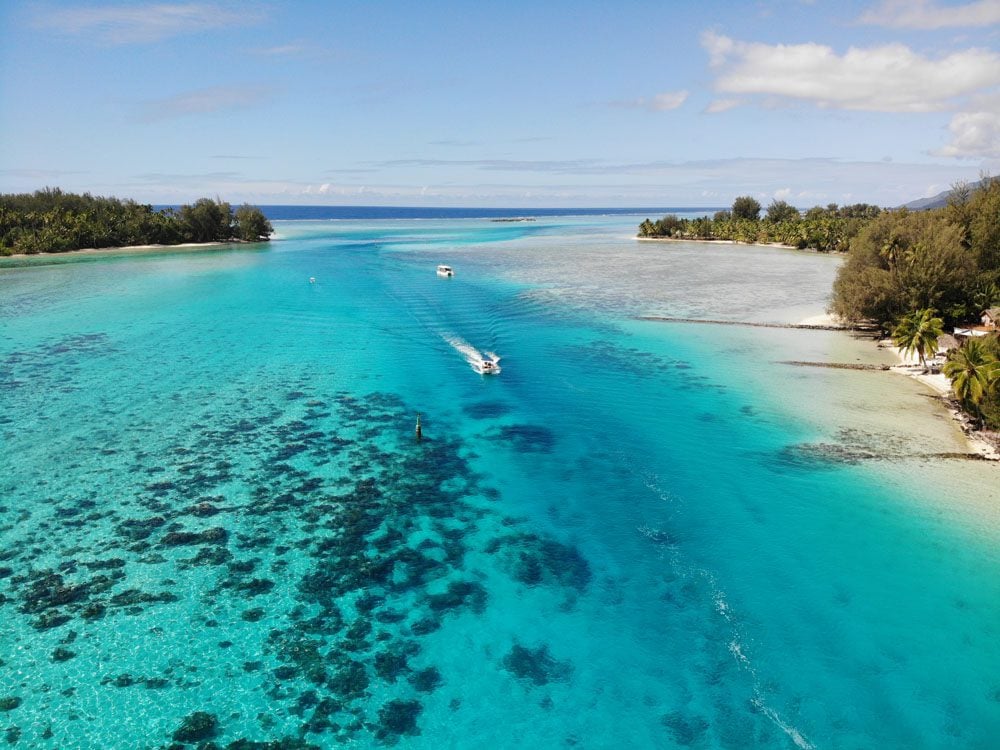 The Complete & In-Depth Moorea Travel Guide