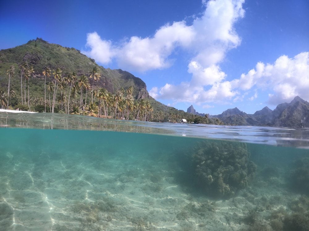 Underwater-at-Taahiamanu-Beach-Moorea-French-Polynesia