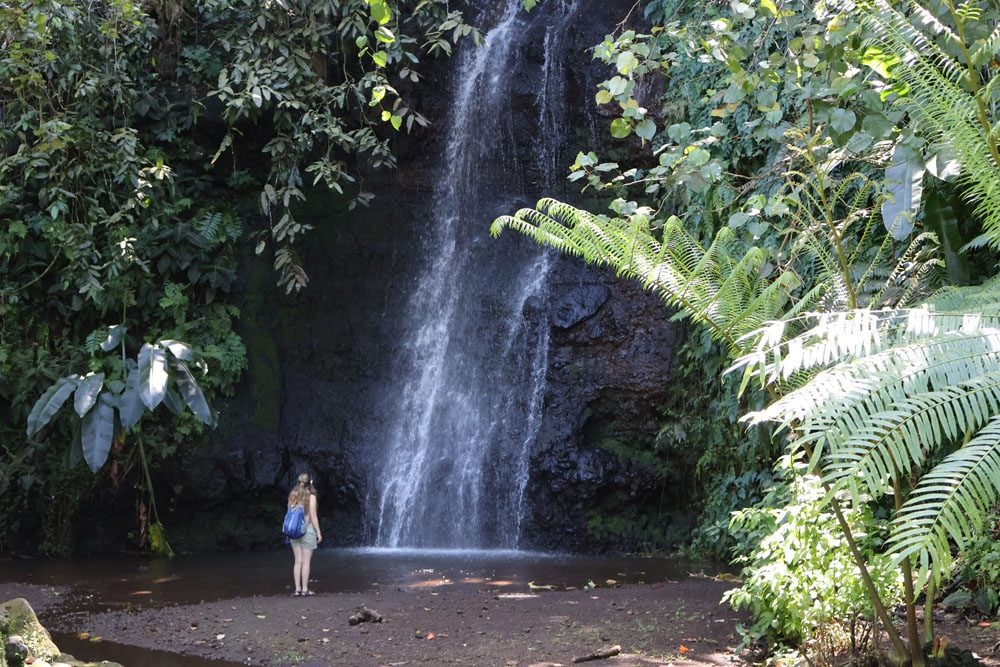 Waterfall in Vaipahi Gardens - Tahiti - French Polynesia