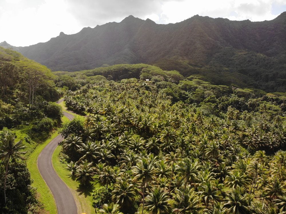 cross-island-road-Tahaa-French-Polynesia