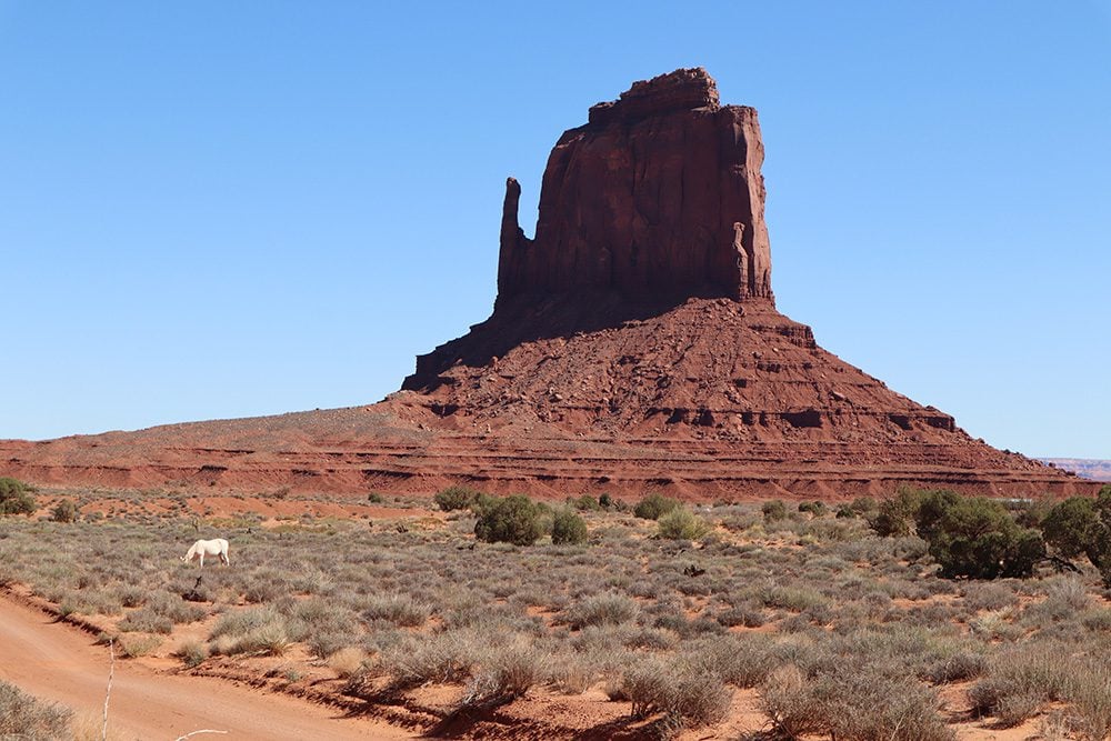 east mitten butte from wildcat trail - monument valley hike