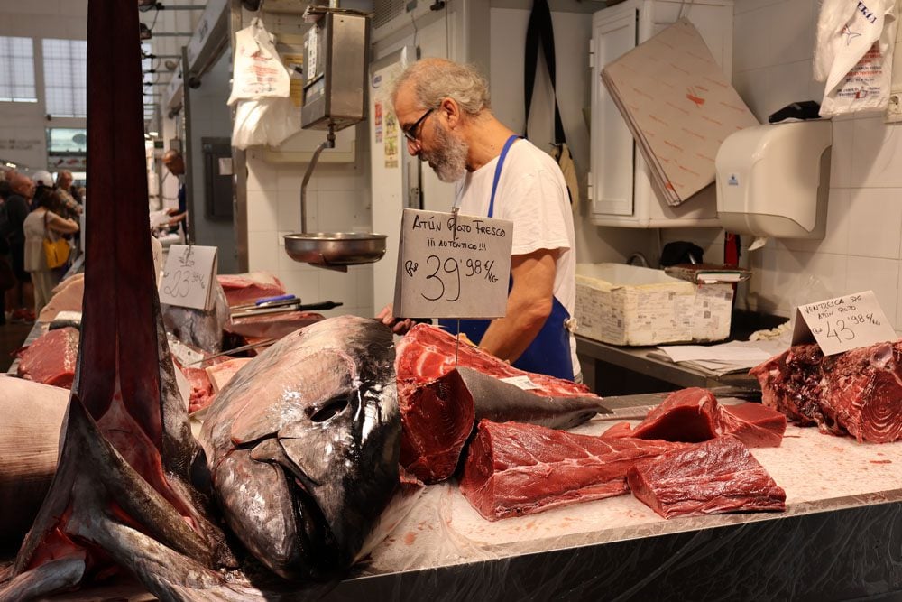 fresh tuna - Mercado de Abastos - Cadiz - Andalusia Southern Spain