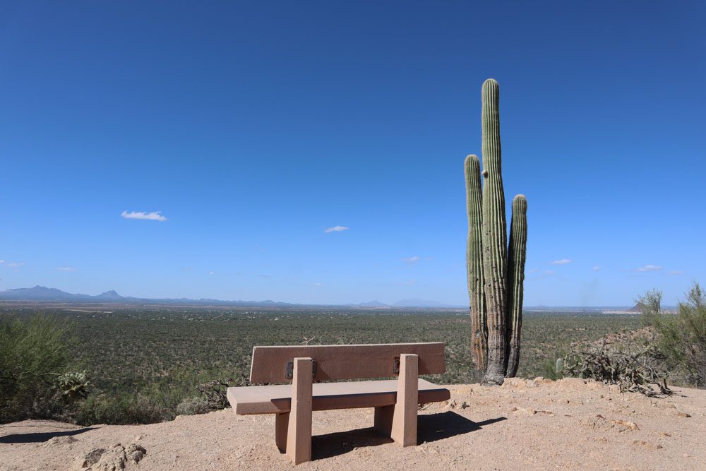 Bench on Valley View Overlook Trail - Saguaro NP