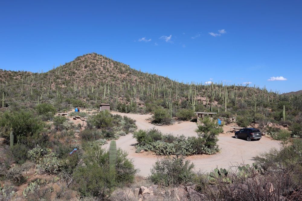 Ez-Kim-In-Zin Picnic Area - Saguaro National Park