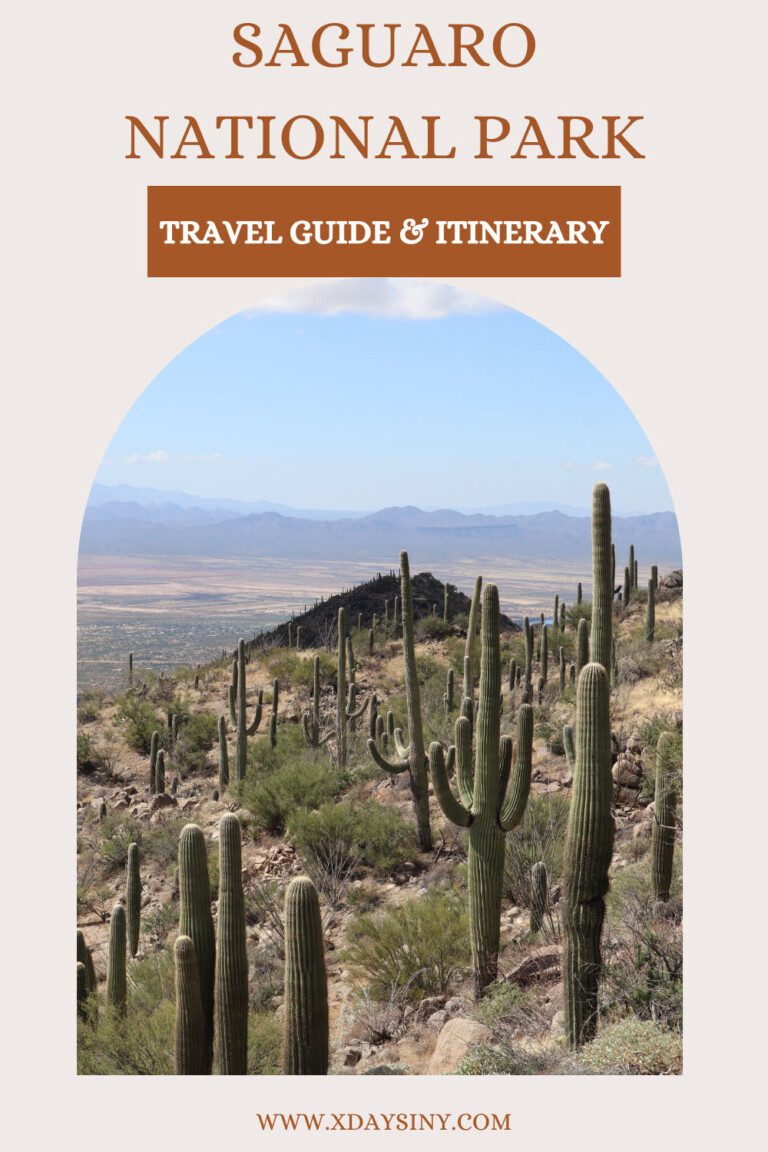 Saguaro National Park Travel Guide & 1-3 Day Itinerary | X Days In Y