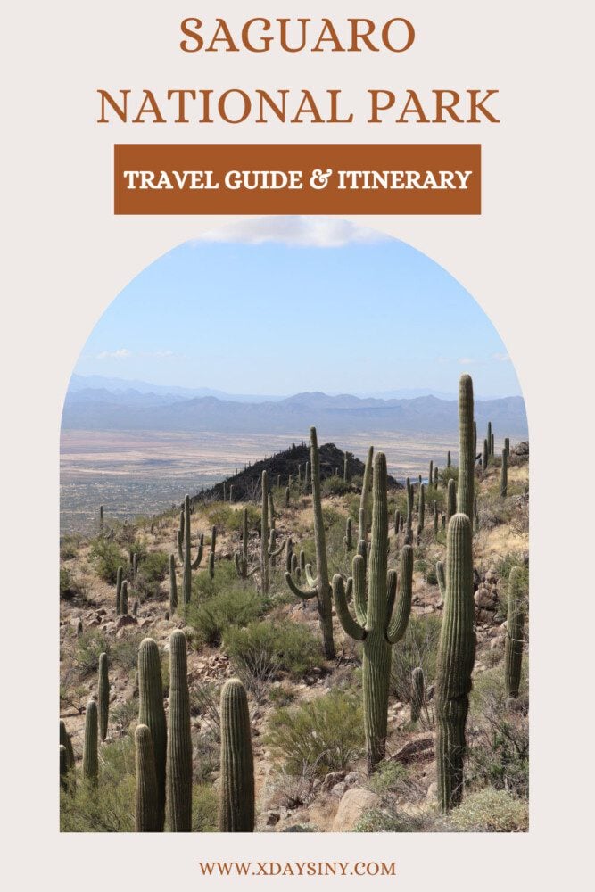 Saguaro National Park Itinerary - pin
